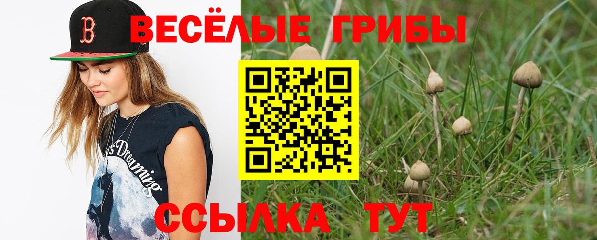 Галлюциногенные грибы Psilocybine cubensis  Галлюциногенные грибы MAGIC MUSHROOMS  Вход с VPN  Джанкой 
